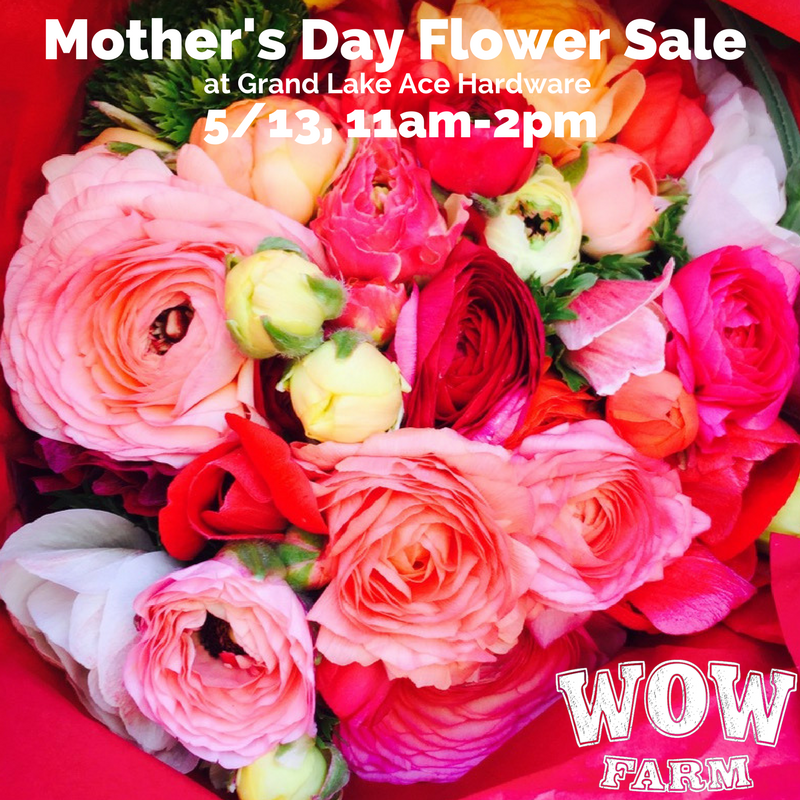 Mother's Day Sale